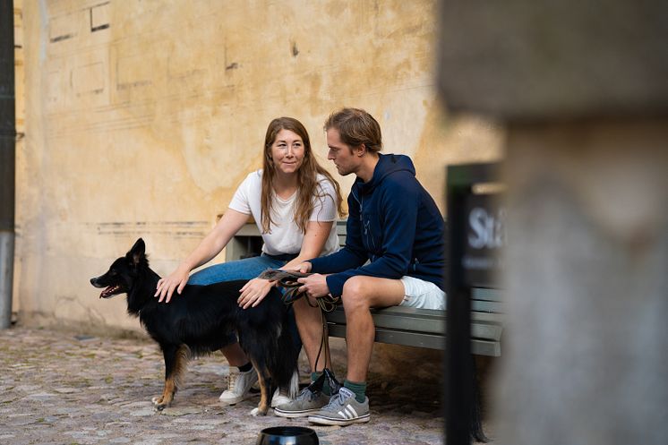 Kalmar Slott_hund inre borggården