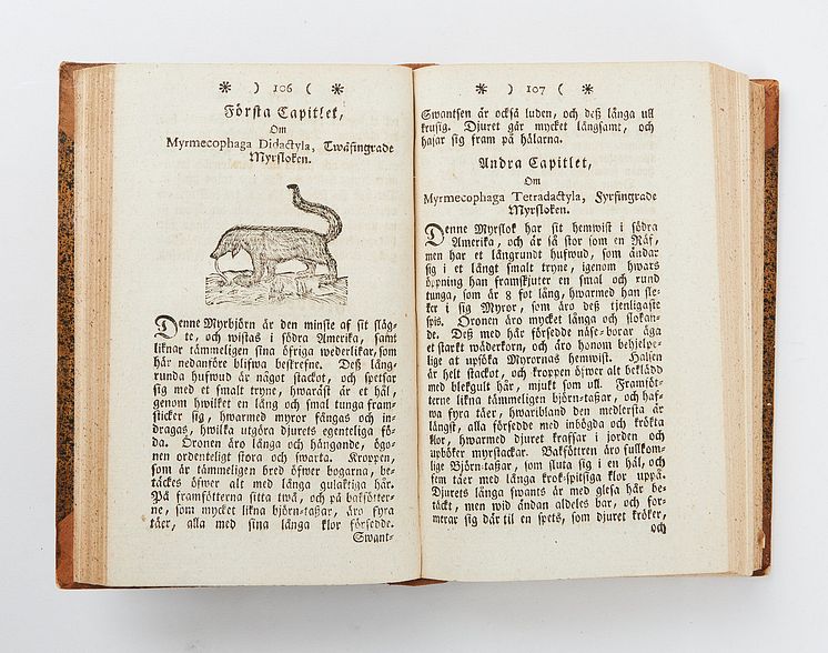 Den första svenska handboken i zoologi av Magnus Orrelius