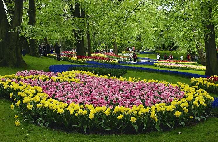 Keukenhof