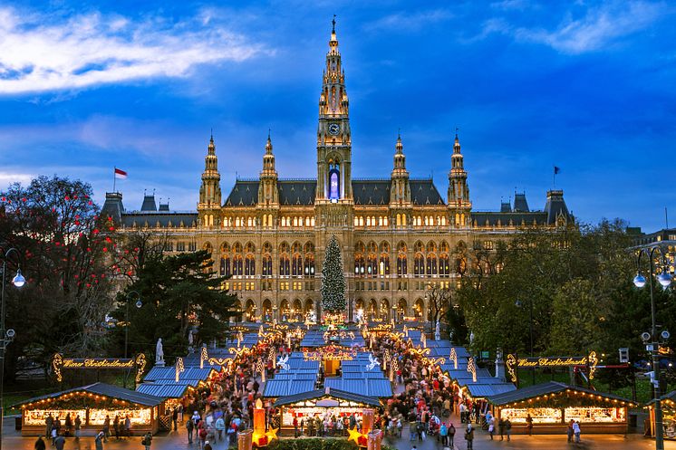 Vienna christmas market.jpg