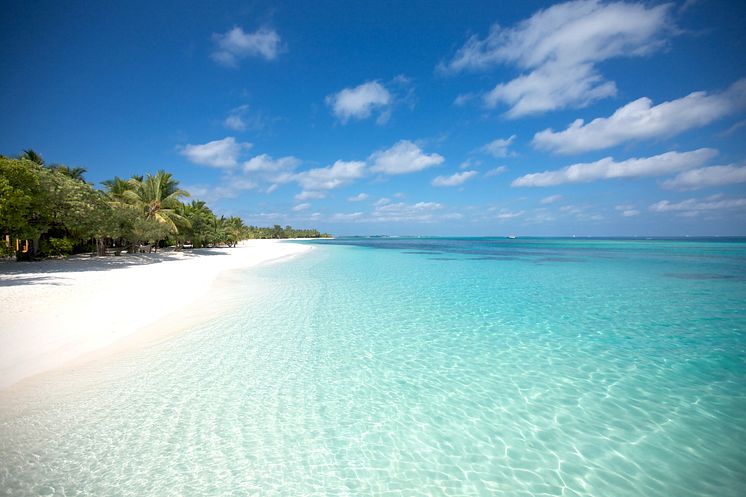 Vit strand Maldiverna