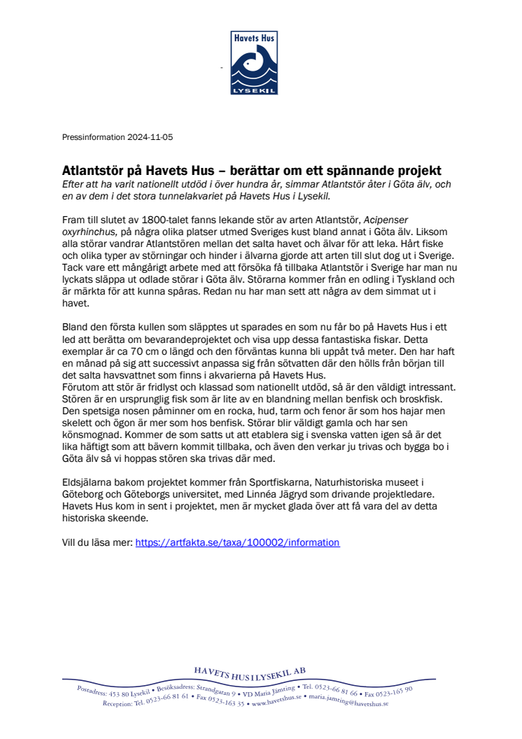241105_atlantstör.pdf