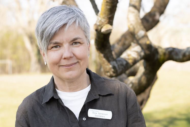 Anna Santesson.jpg