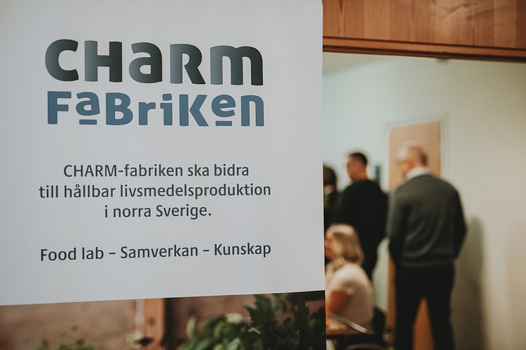 CHARM-fabrikens tidigare nätverksträff, fotograf Fanny Berglund 5.jpg