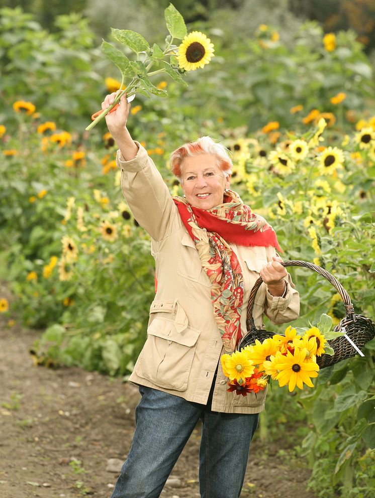 Kerstin Dellert