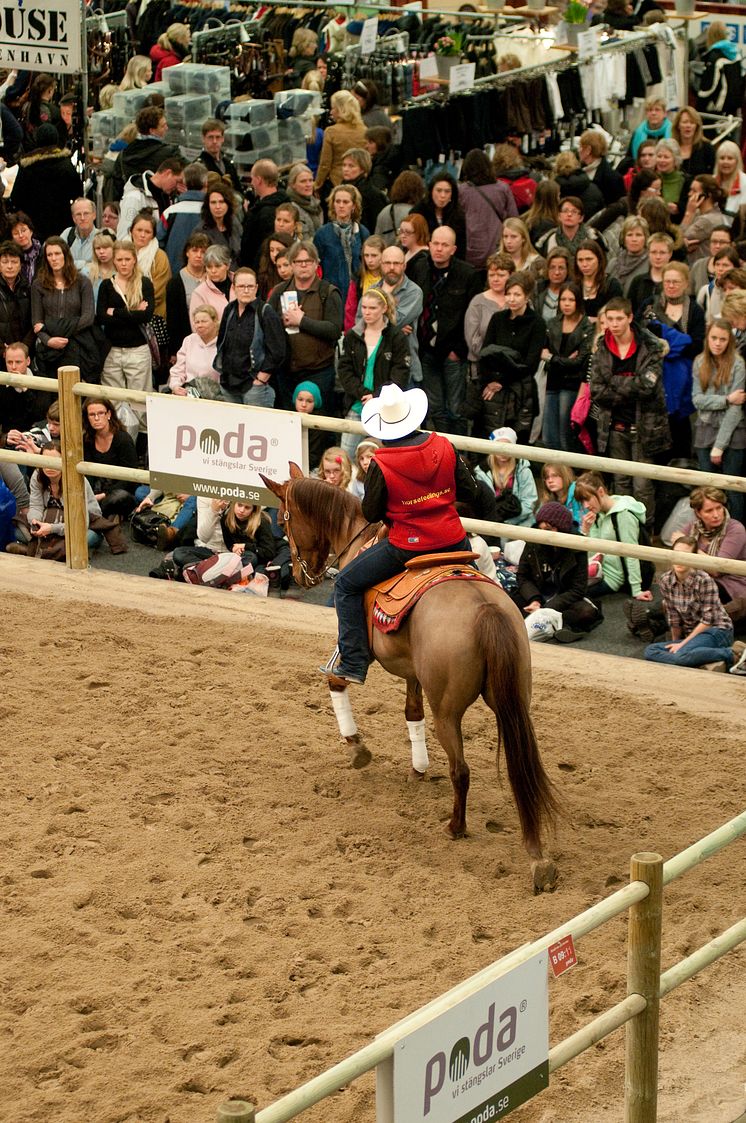 EuroHorse Paddock 16