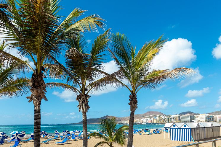 DEST_SPAIN_LAS_PALMAS_LAS_CANTERAS_BEACH_PALMTREES_GettyImages-1875229858_Universal_Within usage period_100829.jpg
