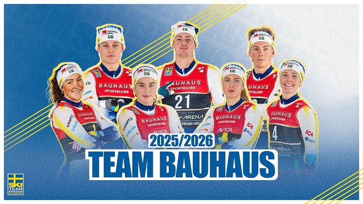 Team Bauhaus liggande mindre.jpg