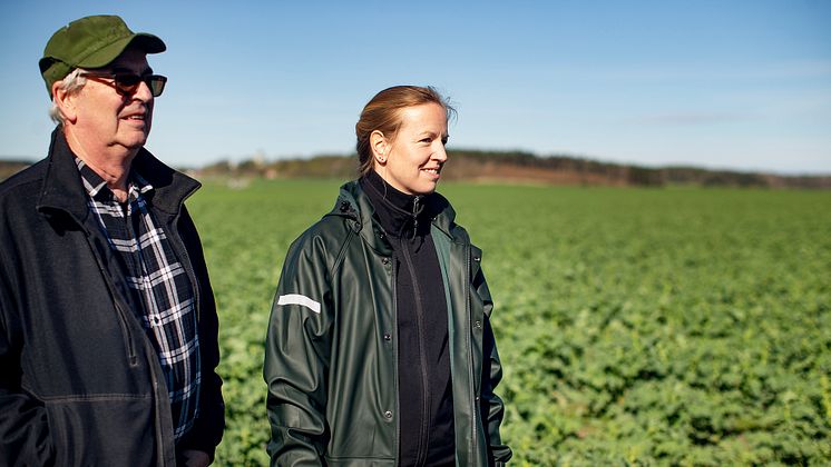 Kvinna och man blickar framåt i rapsåker under fältvandring.