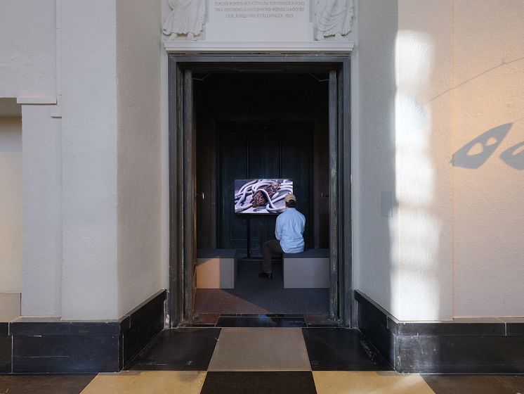 Installationsbild, Bugs & Metamorphosis: Glitching Photography