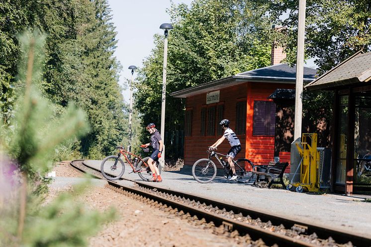 Gravel-Camp-Erzgebirge-2024©lifeCYCLEmedia-Martin-Donat-454.jpg