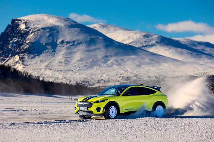 2024 Mustang Mach-E Rally Gol (10).jpg