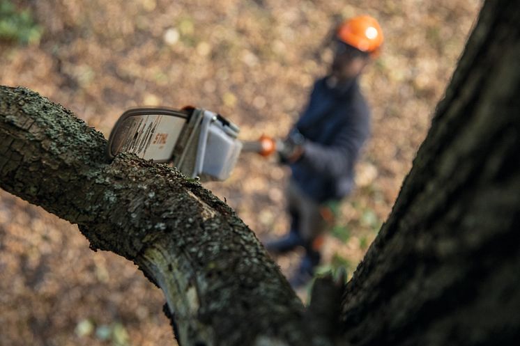 STIHL_Hoch-Entaster_Anwendung.jpg