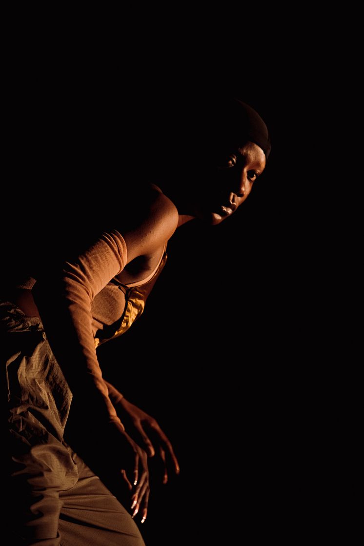 Company Nicolas Huchard - The barefoot diva