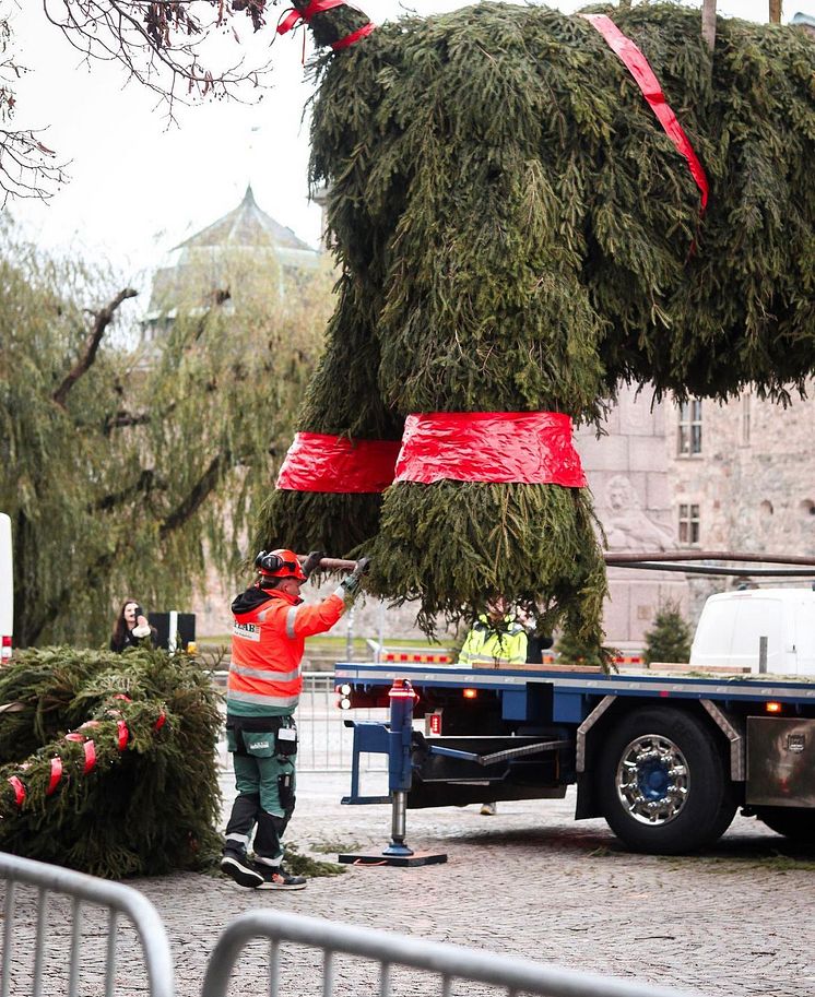 Julbocken.jpg