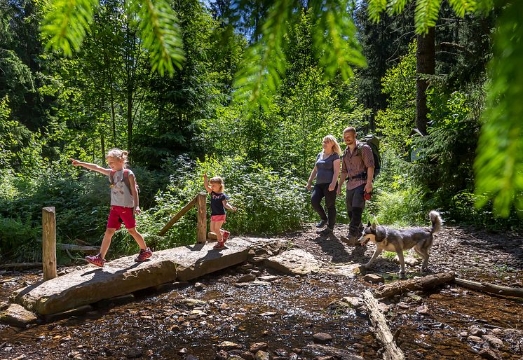 Wander_Wald_Familie_Geyer_20_Foto_TVE_Uwe Meinhold.jpg