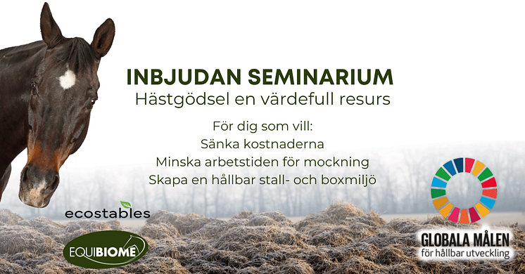 INBJUDAN SEMINARIUM 21 MAJ_FB-event.png