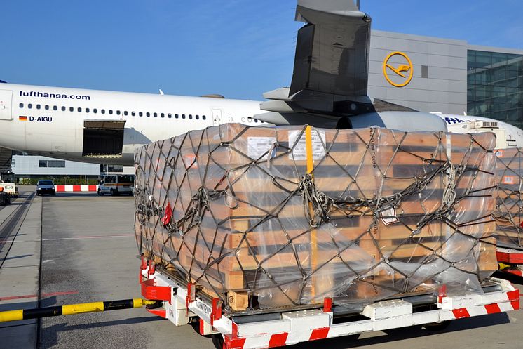 Belly-Fracht Verladung am Flughafen Frankfurt.JPG