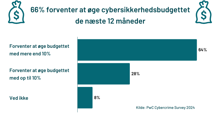 cybersikkerhedsbudget-20242025.png