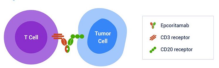 Epcoritamab bild.jpg