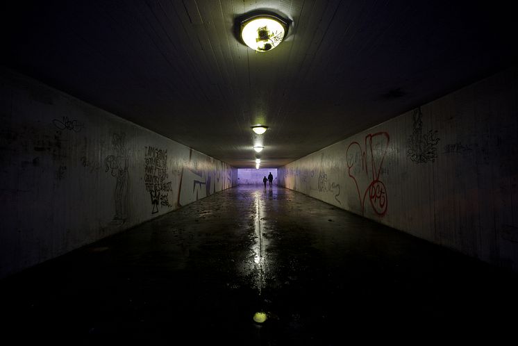 En webbkampanj har utsett Dalaplans gångtunnel i Malmö till Sveriges läskigaste plats. 