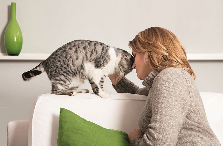 Fressnapf_Bild 2_Weltkatzentag.jpg