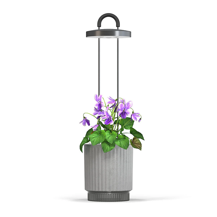 HydroVase-hires-2.png