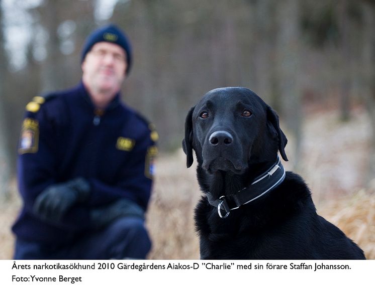 Charlie är Årets narkotikasökhund