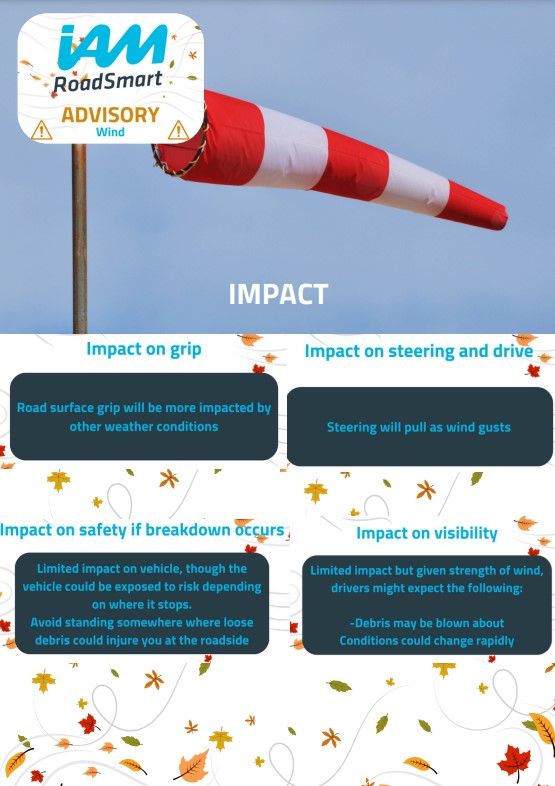 Wind amber - impact.jpg