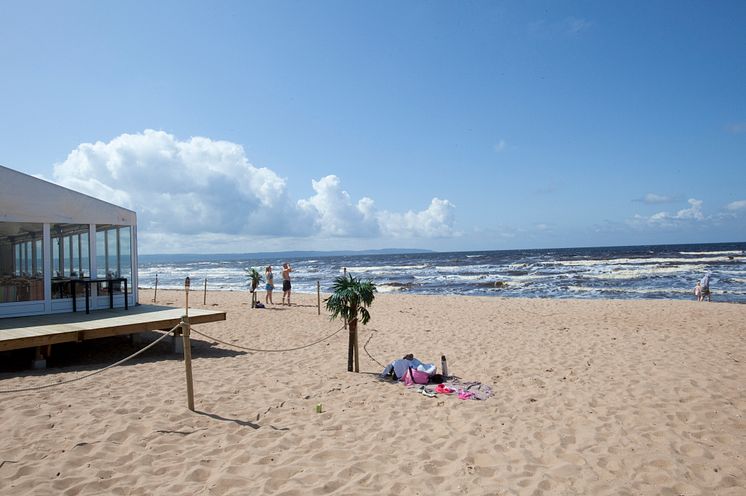 Halland - sandstranden i Mellbystrand