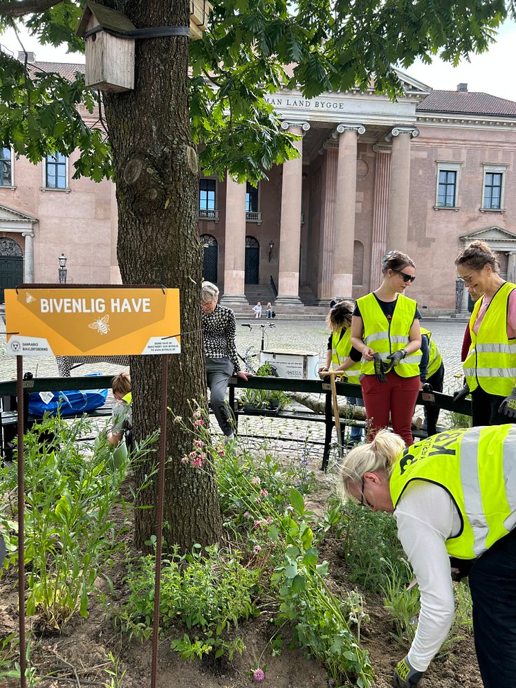 Miljødag3.jpg