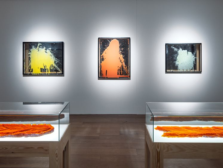 Installationsvy Efter landskap och Multipla ärr. Foto_ Jean-Baptiste Béranger.jpg