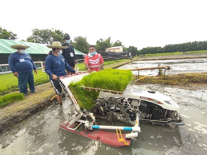 philippines-rice.jpg