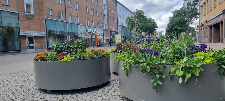 20250611_133208.jpg