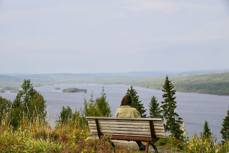 Finnskogtoppen_Hanne Marit Tobiassen 6.JPG
