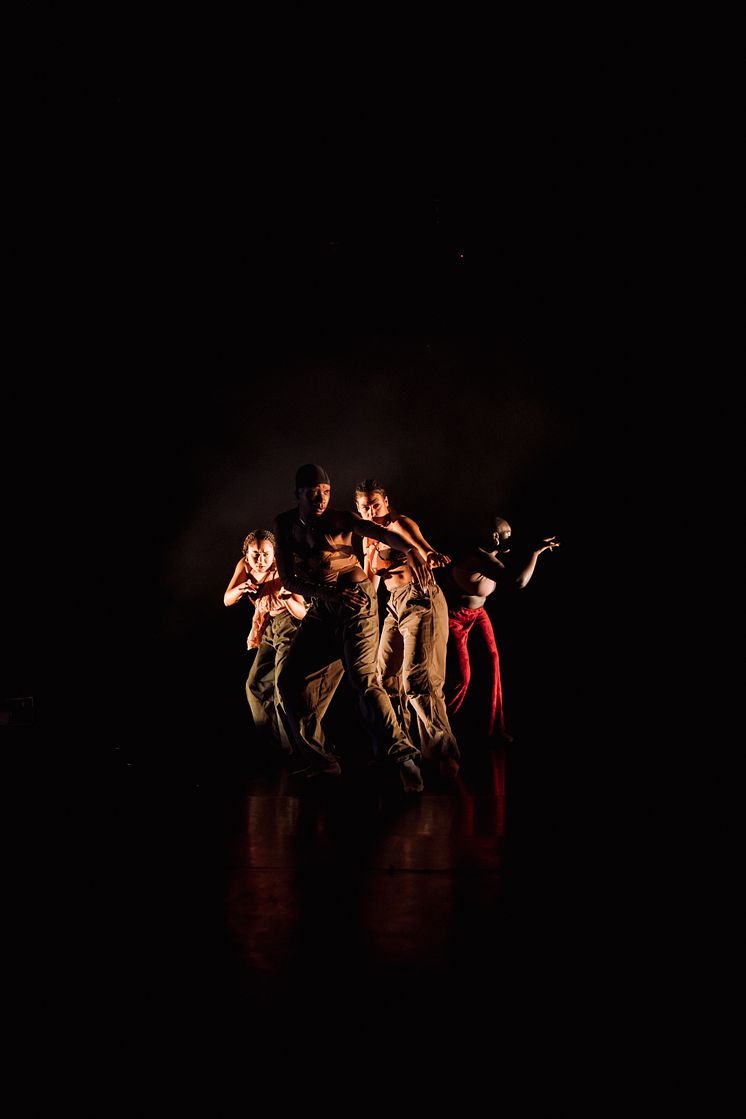 Company Nicolas Huchard - The barefoot diva