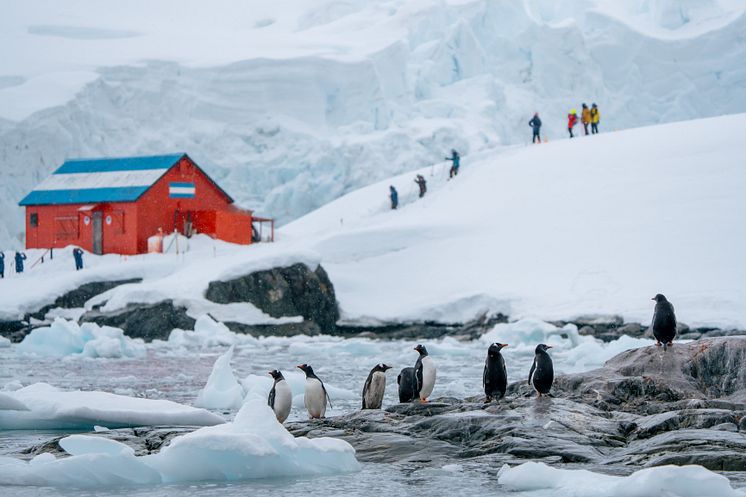 HX_Antarctica_Paradise_Bay_Brown_Station_Photo_Kay_Fochtmann.jpg