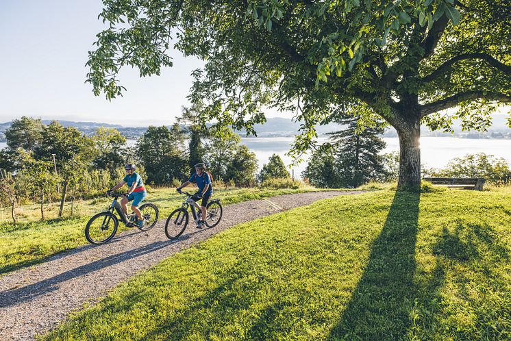 E-Bike in der Region Zürich