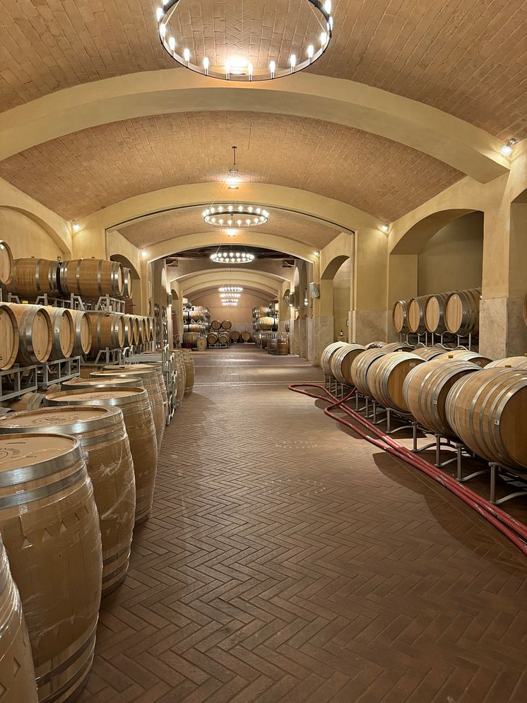 Cecchi Cellar.jpg