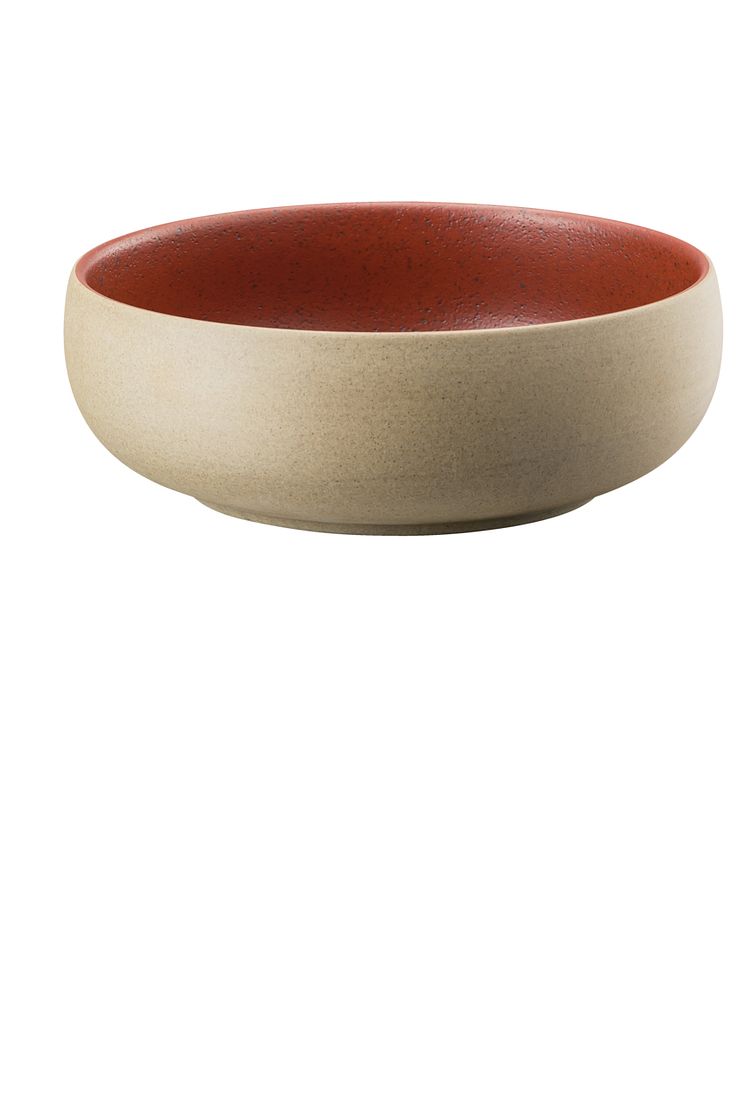 rosenthal joyn spark_bowl.jpg
