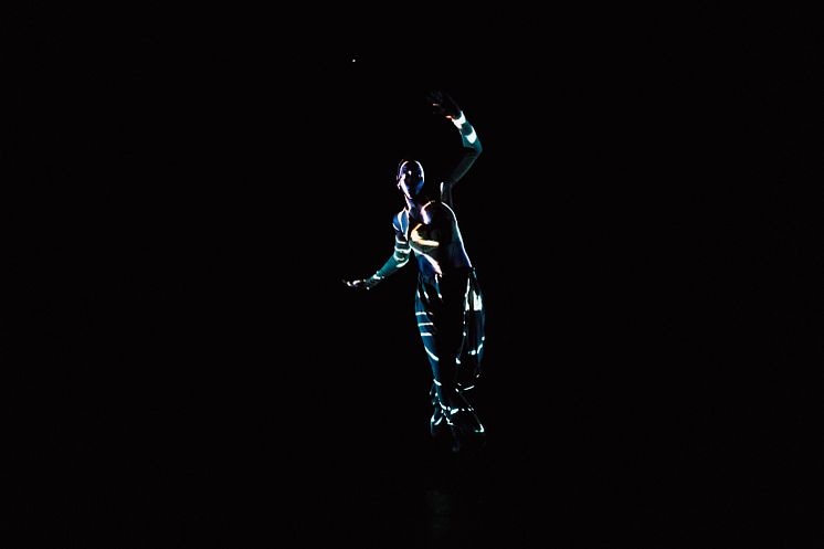 Company Nicolas Huchard - The barefoot diva