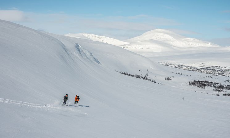 DSC_2012.jpg