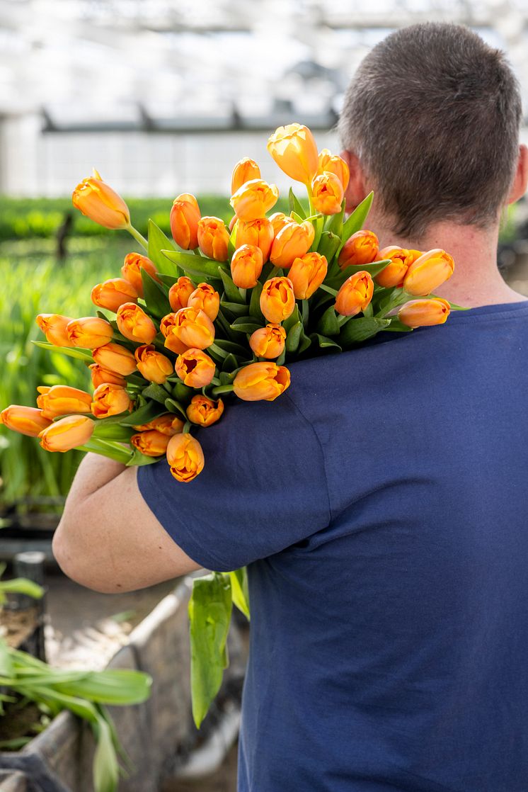 Olles Blommor