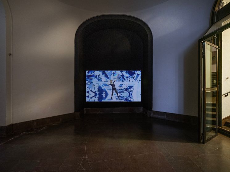 Installationsbild, Bugs & Metamorphosis Glitching Photography_Foto Hossei (2).JPG