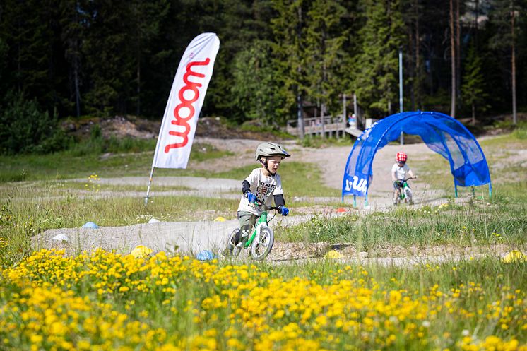 240627_OM_trysil_woom.jpg