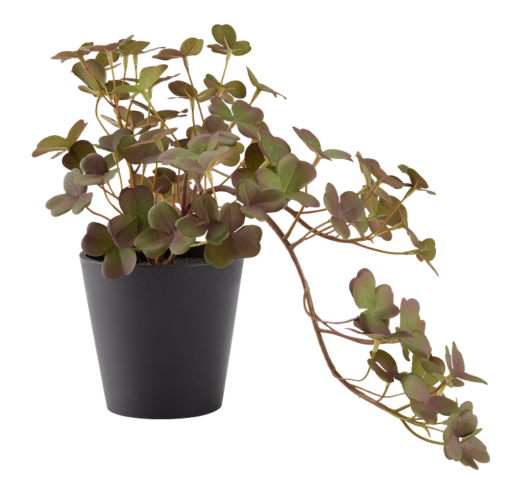JYSK_Planta artificial BERGUR A21cm con maceta.png