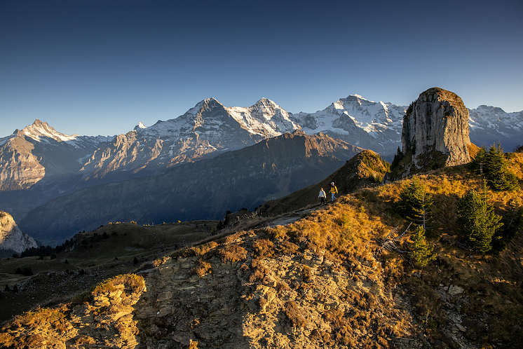 KeyVisual_Schynige-Platte-Herbst-Wandern-Daube-runter_©Jungfraubahnen.png