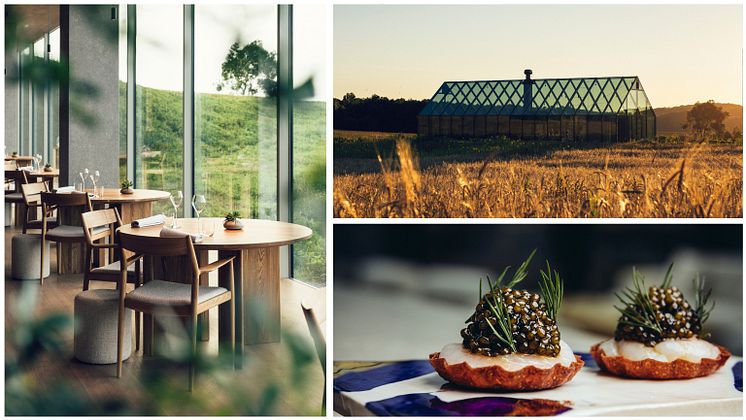 Restaurant Äng Ästad Vingård Foto Restaurant Äng .jpg