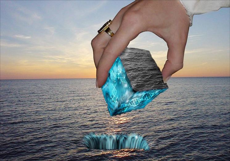 pm_ocean