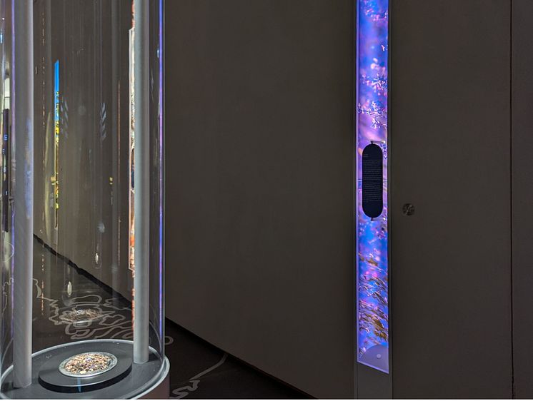Sensoria Holzminden I Duftgalerie Lavendel-Nische.jpg